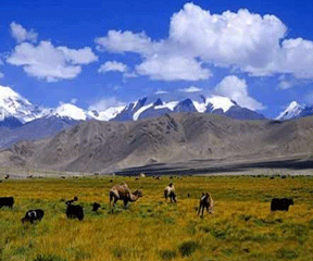 丝绸之路:西安-兰州-西宁-敦煌-嘉峪关-吐鲁番-天池11日游