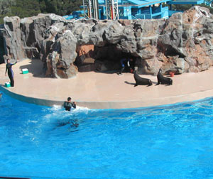 舒适香港海洋公园5日游(港去港回)