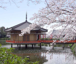 韩国双船双飞风情6日游（烟台起止）