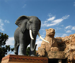 南非8天豪华团A380