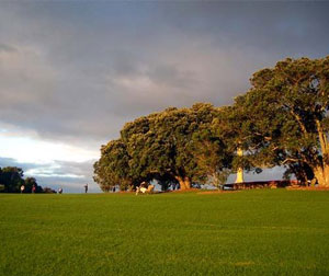 澳新绿野银湾13日超值游
