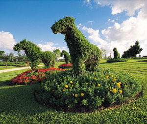 单车游悉尼漫步海豚岛—澳大利亚精选8日之旅