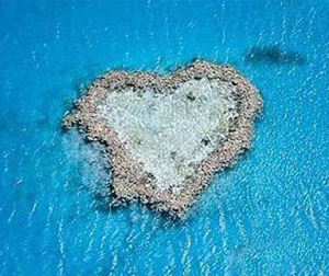 澳新凯12日绝代双礁超值游(cz)