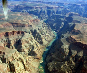 美国加拿大14日老年团