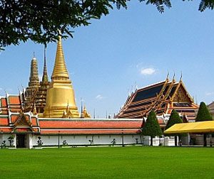 钟爱曼芭普9/10日