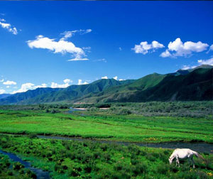 C2西藏—江南之旅：布达拉宫 大昭寺 纳木错 秀巴古堡 比日神山 林芝 卧飞八日