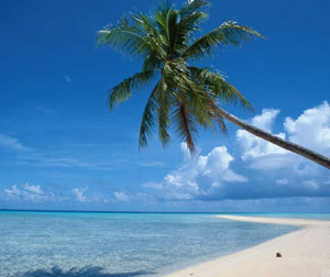 蓝色盛宴纯净之旅（海口往返五日/六日）