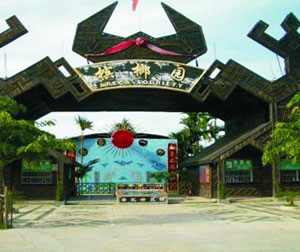 海南2+1半自由人