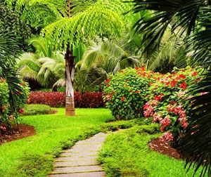 周游云南-昆明大理丽江版纳环飞八天（环飞丽江）FC