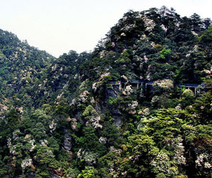 H2.井冈山、庐山、婺源、景德镇双卧八日游