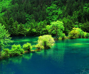 成都、九寨沟、黄龙双飞6日游（纯玩）