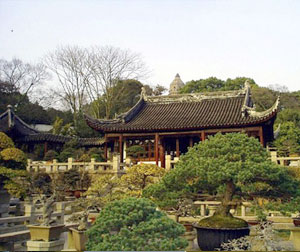 苏沪杭+双水乡豪华双动三日游（苏进沪出）