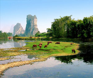 【亲子游A】-桂林、漓江、阳朔、木龙湖、刘三姐大观园、冠岩双卧六日