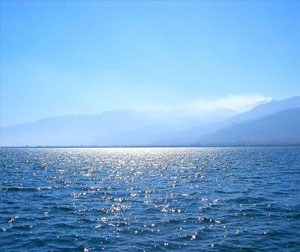 B线：呼伦贝尔大草原、满洲里口岸、呼伦湖、红花尔基森林公园双飞五日游