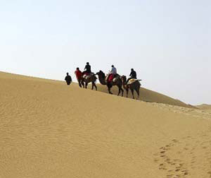 通辽包机：孝庄故里科尔沁大草原、塔敏查干沙漠、地下林林大青沟 双飞四日
