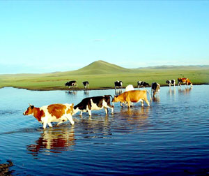 【特色】西宁、青海湖、塔尔寺、土族风情园、李家峡、坎布拉双飞四日游(限