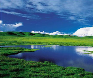 【特色】-【摄影主题】青海湖、祁连山、门源油菜花海双飞六日游(限团队)