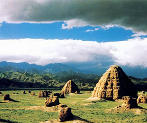 【特色】宁夏沙湖、西夏王陵、西部影视城、沙坡头、塔尔寺、青海湖单飞双卧