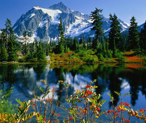 【特色】林芝、鲁朗、拉萨、日喀则品质四飞8日游