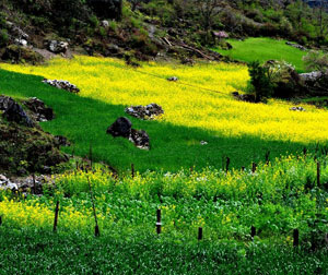 特色：昆明、石林、怒江大峡谷惊险探秘八日游