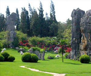 特色：昆明、西双版纳、勐仑植物园、傣族园、原始森林公园、野象谷四飞六日