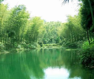 【特色】乌镇西栅、桐庐、临安天目山、安吉、溧阳天目湖单飞六日