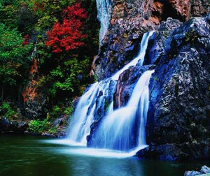 【特色】哈尔滨、伊春、五营、汤旺河、茅兰沟、嘉阴双飞六日游