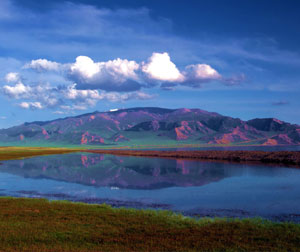 【特色】金山银水—阿勒泰山脉自然保护区探胜（限团队）