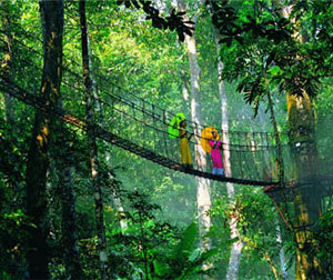 金象山乐园一日游