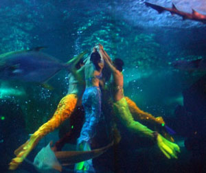 泉城极地海洋世界一日