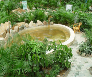 国科温泉一日游