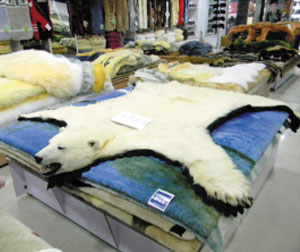 辛集皮革城一日游