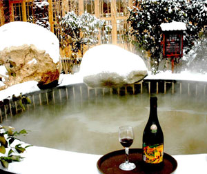 观塘温泉一日游