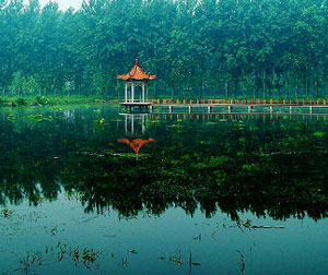 台儿庄运河古城、影视城、微山湖红荷湿地两日游