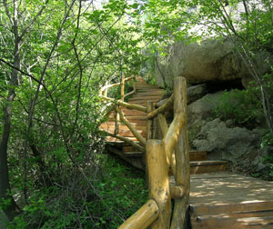 鲁山国家森林公园一日游