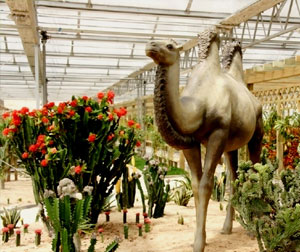 莱芜雪野农博园、雪野湖一日游 