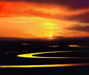 东营黄河入海口一日游