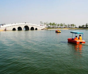 东营市区、黄河入海口二日游