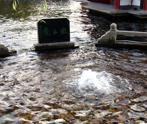 章丘百脉泉赏泉一日游