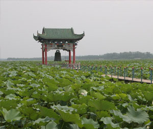 章丘白云湖一日游