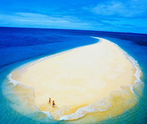 澳新凯12日银滩珊瑚花园+海豚岛