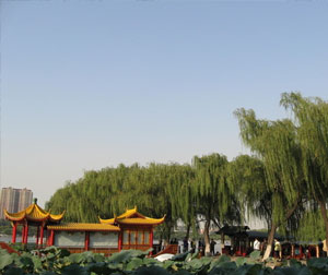 济南、淄博、东营休闲四日游  