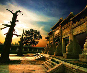 “健康休闲、幸福人生” 曲阜枣庄红色修学之旅 