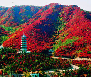 “健康休闲、幸福人生”魅力济南休闲两日游