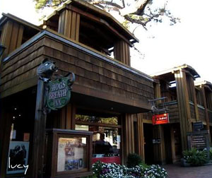 美国西部私人飞机11天豪华之旅  